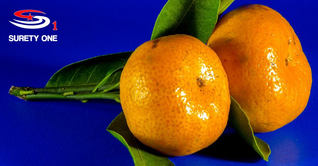 Florida Citrus Fruit Dealer Bond