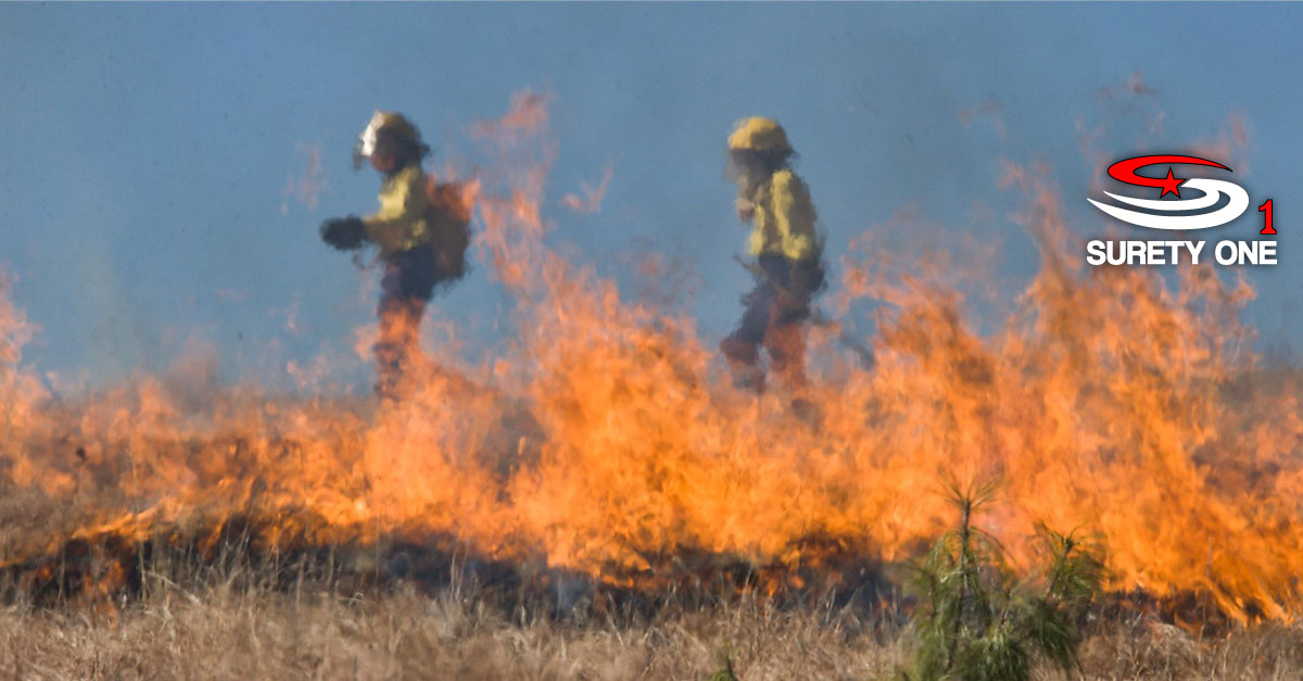 California Public Adjuster Bond • Surety One, Inc.