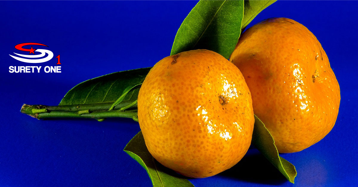 Florida Citrus Fruit Dealer Bond • Surety One, Inc.