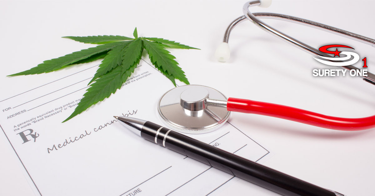 Illinois cannabis dispensary bond surety one inc 