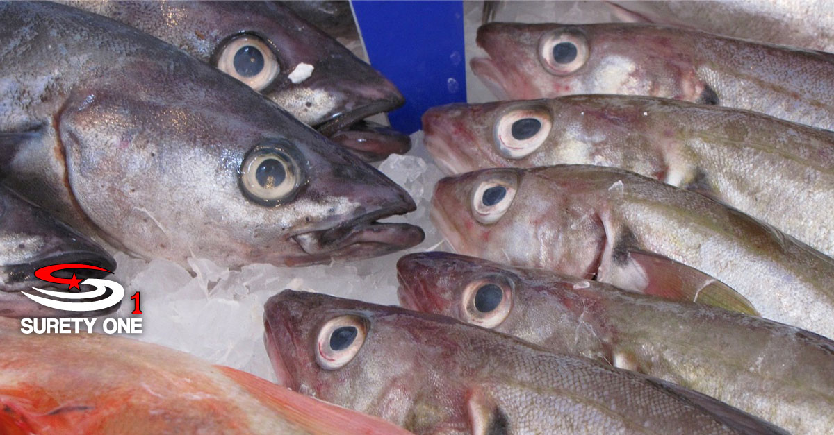 National Marine Fisheries Inspection Bond (NOAA) • Surety One, Inc.